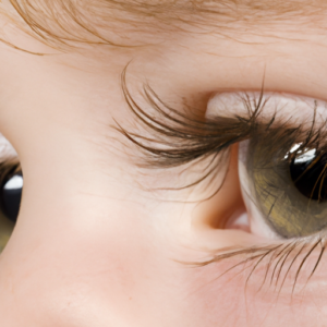 A close-up of a pair of eyes with wispy eyelashes.